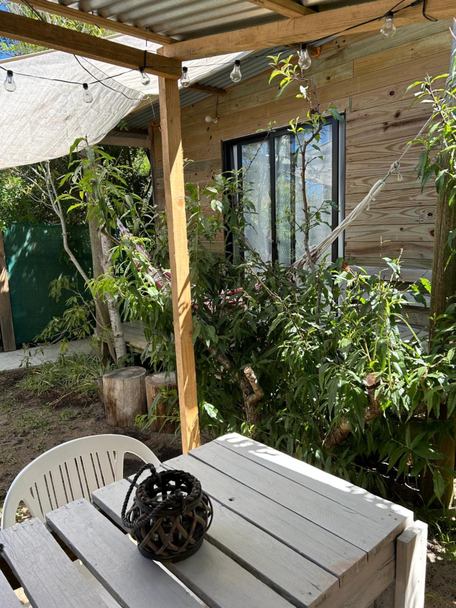 Lunas Del Bosque Cabana Y Apartamento En Suite 라 팔로마 외부 사진