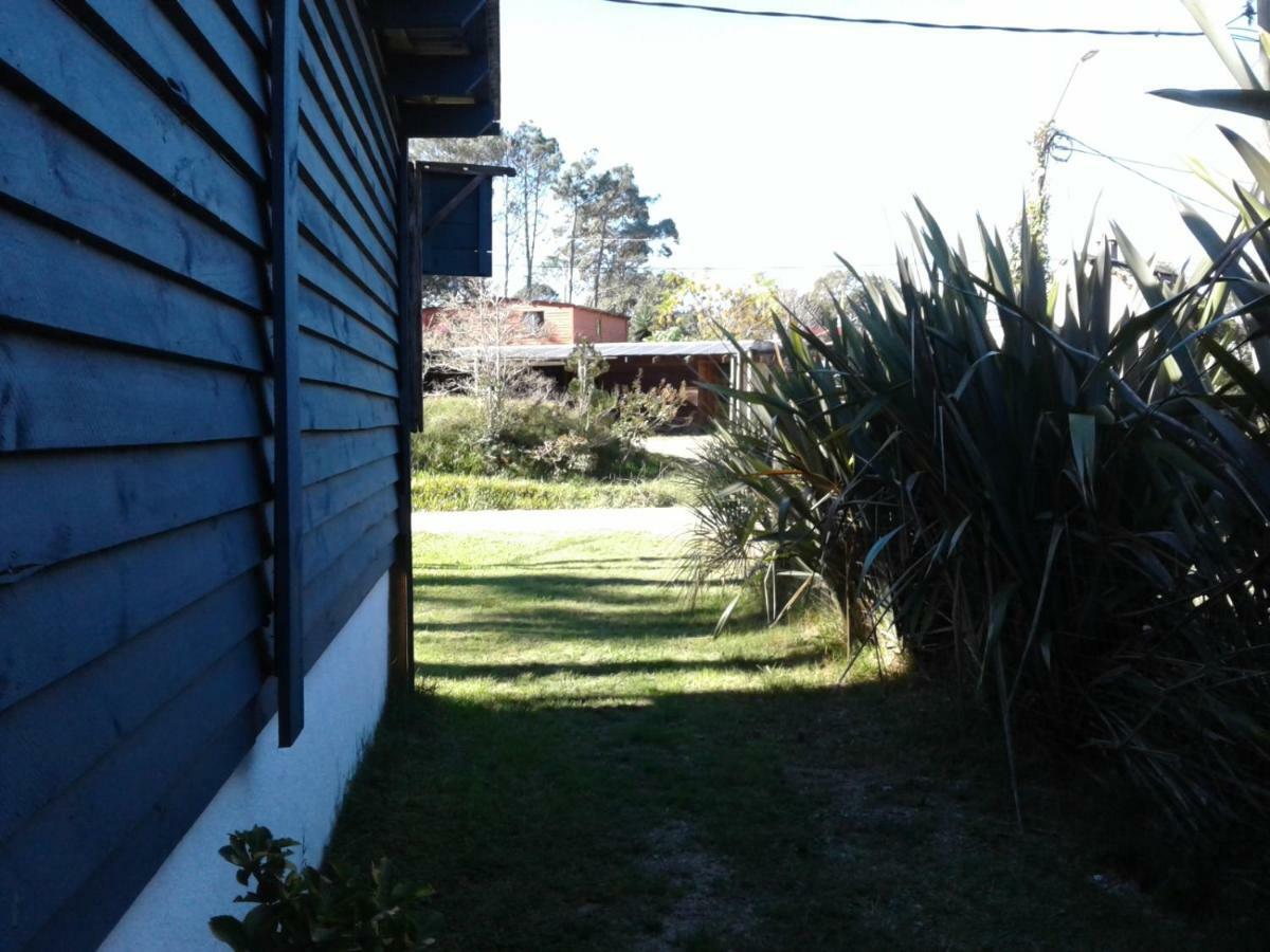 Lunas Del Bosque Cabana Y Apartamento En Suite 라 팔로마 외부 사진
